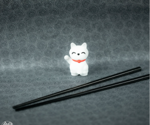 Tréninkové jídelní hůlky pro začátečníky - kočka Emro Aziatica